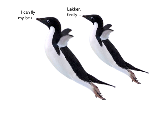 Bond Originators South Africa